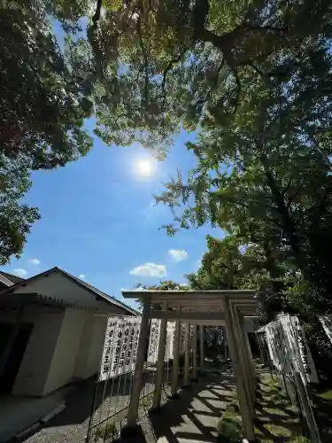 白金龍王社(愛知県)