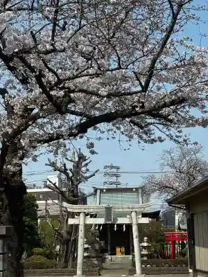 白山神社の{uncategorized: "未分類", other: "その他", undefined: "問題あり", building: "その他建物", grave: "お墓", sacred_gate: "鳥居", guardian: "狛犬", statue: "像", buddha: "仏像", history: "歴史", nature: "自然", garden: "庭園", animal: "動物", pagoda: "塔", temizu: "手水舎", mountain_gate: "山門・神門", sanctuary: "本殿・本堂", subordinate: "末社・摂社", art: "芸術", scenery: "景色", jizo: "地蔵", ema: "絵馬", goshuin: "御朱印", omikuji: "おみくじ", items: "授与品その他", amulet: "お守り", goshuincho: "御朱印帳", eats: "食事", festival: "お祭り", votive_dance: "神楽", shichigosan: "七五三参", wedding: "結婚式", experience: "体験その他", initially: "初詣", around: "周辺", anti_infection: "感染症対策"}