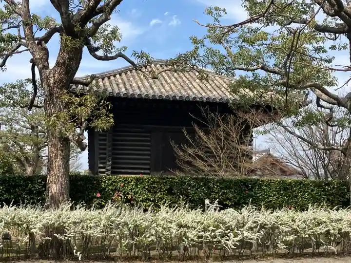 東寺(教王護国寺)(京都府)