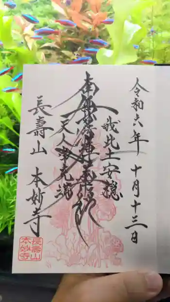 本妙寺の御朱印 2024年10月