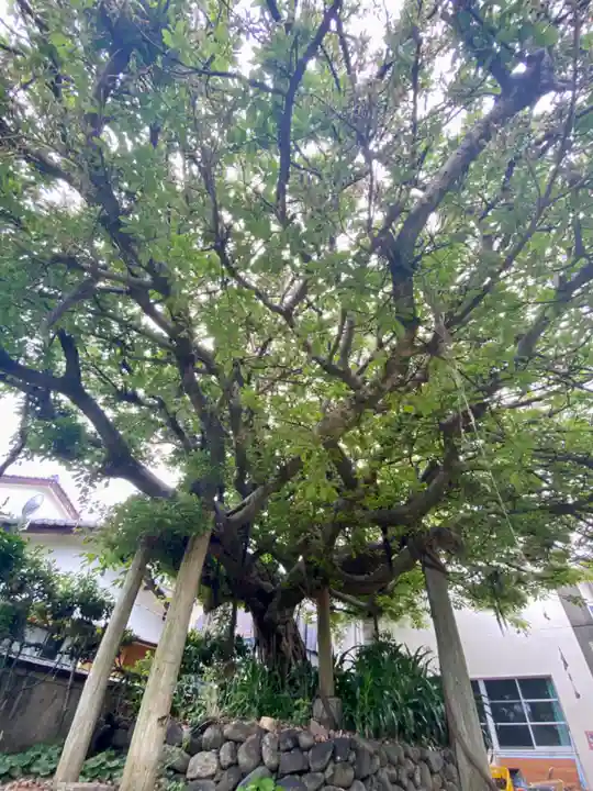 柏島稲荷神社(高知県)