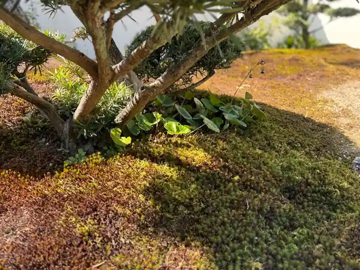 西方山極楽寺(岐阜県)