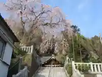 毛谷黒龍神社(福井県)