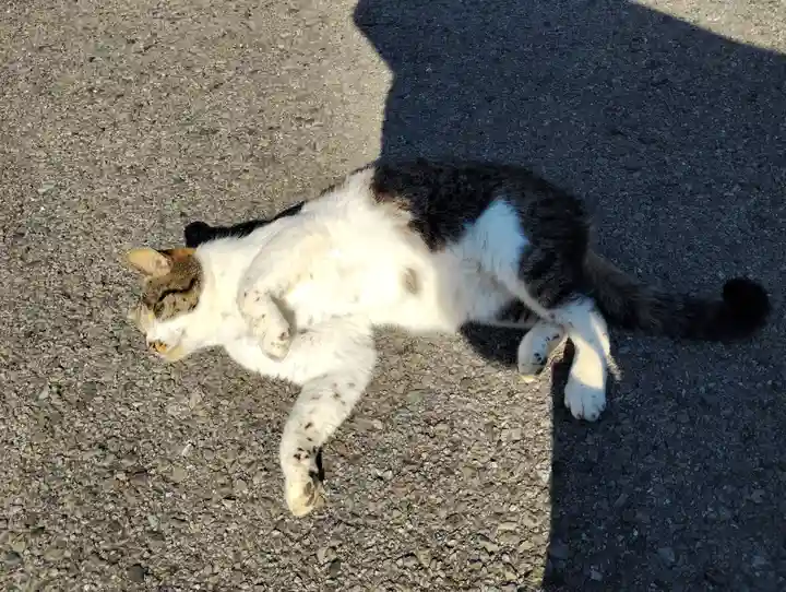 真野寺(千葉県)