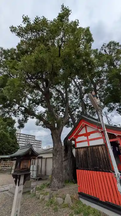 姫嶋神社(大阪府)