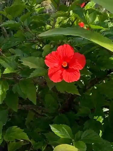 水堂須佐男神社の自然
