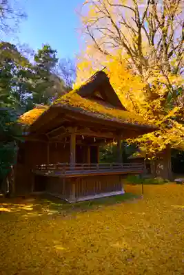 玉敷神社(埼玉県)