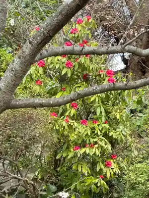 大船観音寺(神奈川県)