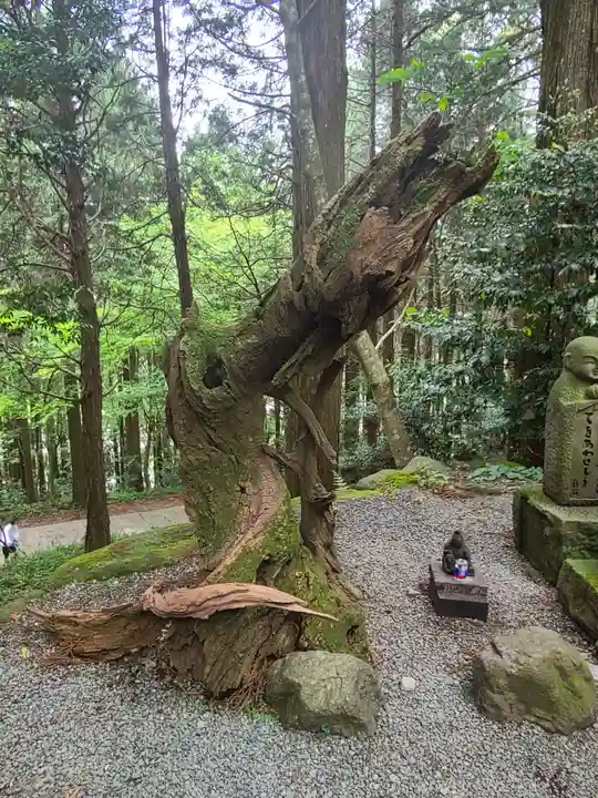 幣立神宮(熊本県)