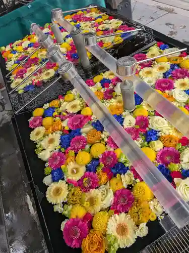 成田山深川不動堂（新勝寺東京別院）(東京都)