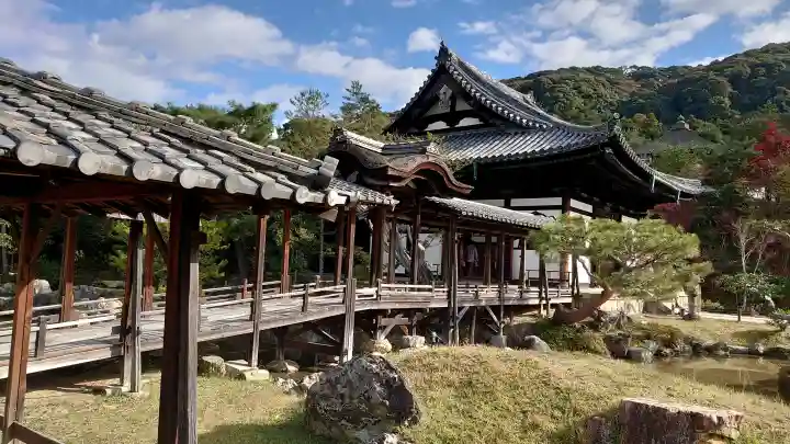 高台寺(高台寿聖禅寺・高臺寺)の{uncategorized: "未分類", other: "その他", undefined: "問題あり", building: "その他建物", grave: "お墓", sacred_gate: "鳥居", guardian: "狛犬", statue: "像", buddha: "仏像", history: "歴史", nature: "自然", garden: "庭園", animal: "動物", pagoda: "塔", temizu: "手水舎", mountain_gate: "山門・神門", sanctuary: "本殿・本堂", subordinate: "末社・摂社", art: "芸術", scenery: "景色", jizo: "地蔵", ema: "絵馬", goshuin: "御朱印", omikuji: "おみくじ", items: "授与品その他", amulet: "お守り", goshuincho: "御朱印帳", eats: "食事", festival: "お祭り", votive_dance: "神楽", shichigosan: "七五三参", wedding: "結婚式", experience: "体験その他", initially: "初詣", around: "周辺", anti_infection: "感染症対策"}