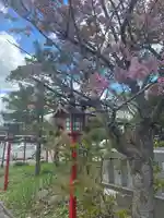 発寒神社の自然