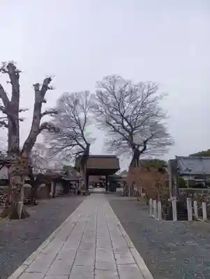 曼陀羅寺(愛知県)