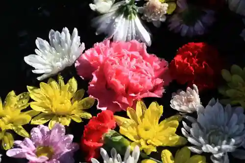 大鏑神社の手水