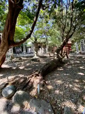 羽豆神社(愛知県)