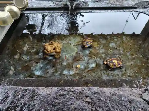 南湖神社の{uncategorized: "未分類", other: "その他", undefined: "問題あり", building: "その他建物", grave: "お墓", sacred_gate: "鳥居", guardian: "狛犬", statue: "像", buddha: "仏像", history: "歴史", nature: "自然", garden: "庭園", animal: "動物", pagoda: "塔", temizu: "手水舎", mountain_gate: "山門・神門", sanctuary: "本殿・本堂", subordinate: "末社・摂社", art: "芸術", scenery: "景色", jizo: "地蔵", ema: "絵馬", goshuin: "御朱印", omikuji: "おみくじ", items: "授与品その他", amulet: "お守り", goshuincho: "御朱印帳", eats: "食事", festival: "お祭り", votive_dance: "神楽", shichigosan: "七五三参", wedding: "結婚式", experience: "体験その他", initially: "初詣", around: "周辺", anti_infection: "感染症対策"}