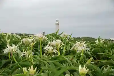 夢崎明神(山口県)