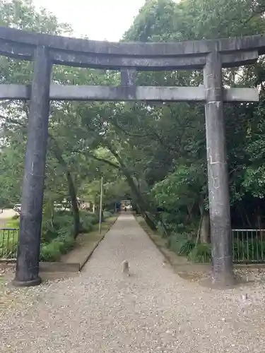 江田神社の鳥居