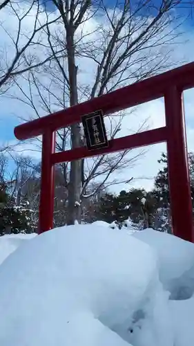 札幌護國神社の鳥居