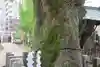 阿邪訶根神社(福島県)