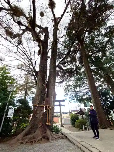 比々多神社(神奈川県)