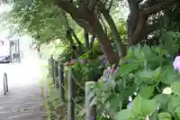 六孫王神社(京都府)