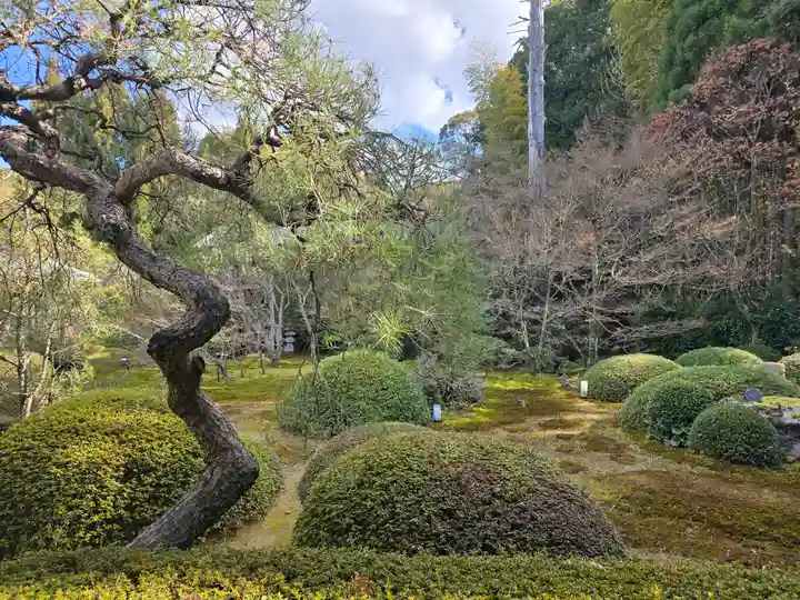 雲龍院(京都府)
