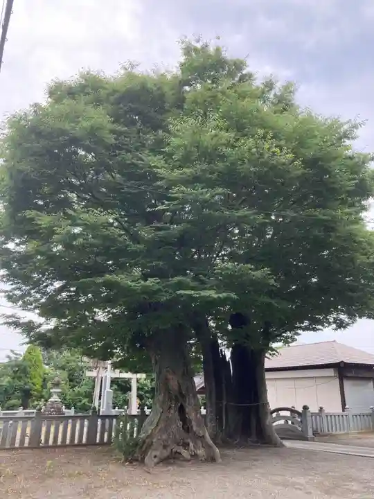 真田神社(神奈川県)