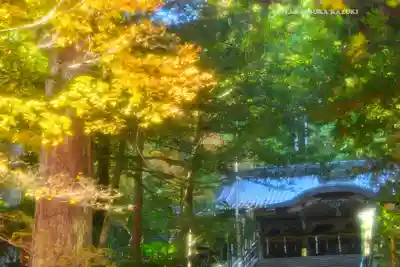 最乗寺（道了尊）(神奈川県)