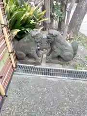 麻布氷川神社の狛犬