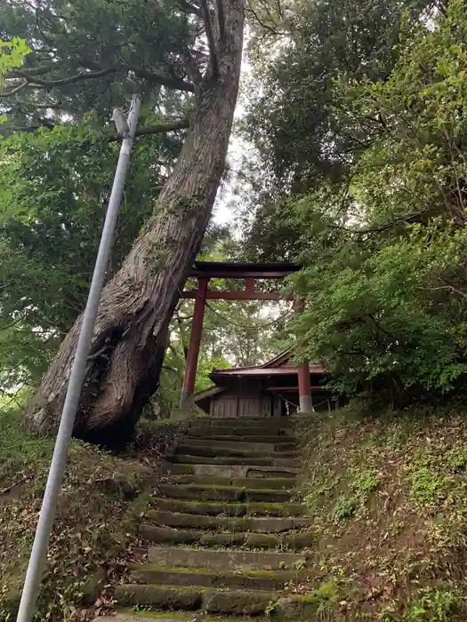 熊野神社の建物その他