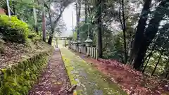 日枝神社(福井県)