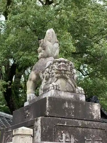 藤森神社の狛犬