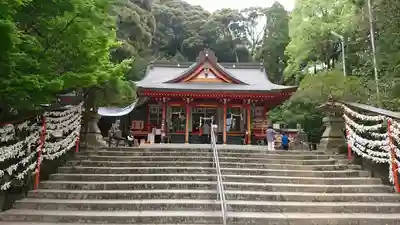 豊玉姫神社の本殿・本堂