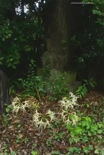 宝蔵院(東京都)