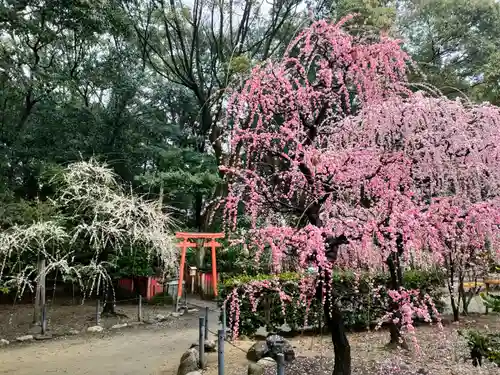 結城神社の庭園