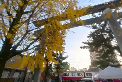 葛飾八幡宮(千葉県)