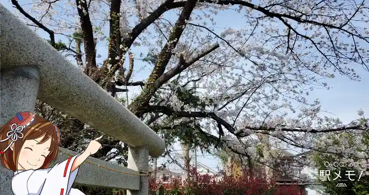 興之宮神社の自然