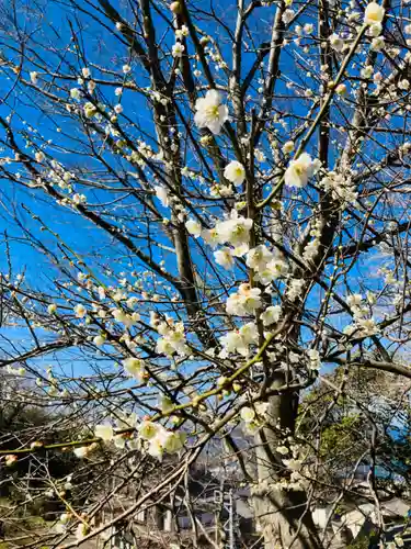 実相院(新潟県)