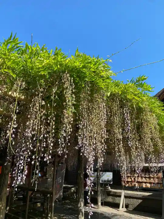 春日大社(奈良県)