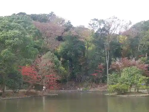 鶴岡八幡宮の庭園