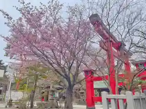 彌彦神社 (伊夜日子神社)の自然(2024年04月22日(月) 09時25分27秒投稿)