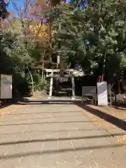 世田谷八幡宮(東京都)