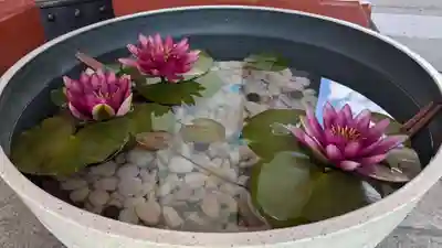 北海道護國神社の手水舎