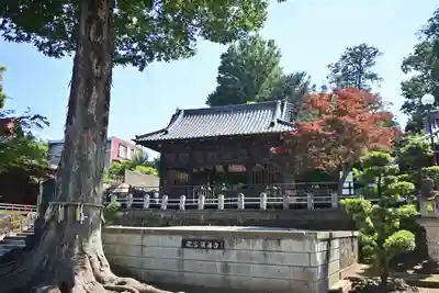 瀧宮神社(埼玉県)