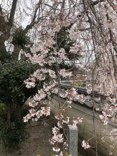 瑞泉寺の御朱印