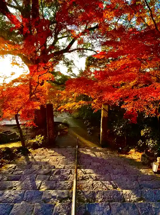 宝満宮竈門神社の自然