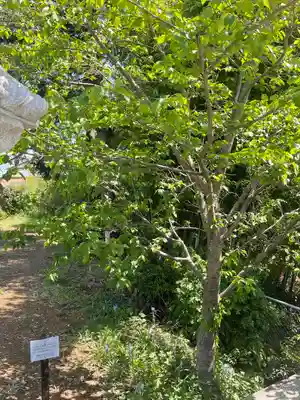 七福尊真延寺の自然