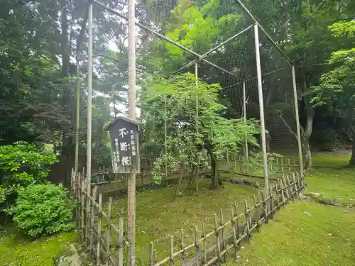 西明寺(滋賀県)