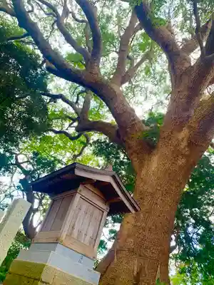 大宮皇神(福岡県)